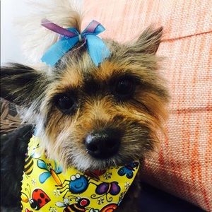 Meet your Posher, Tamaneh